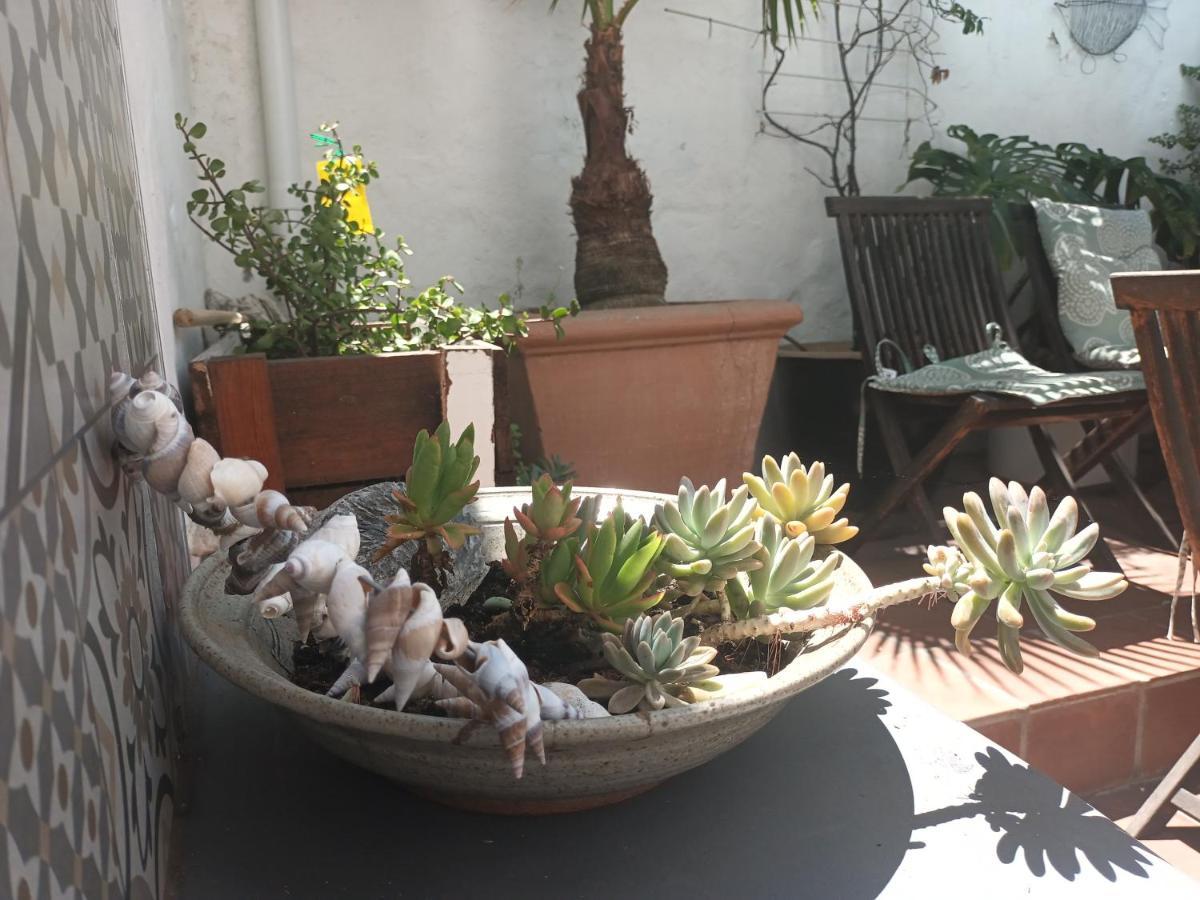 House On The Hill Hostel Cape Town Ngoại thất bức ảnh
